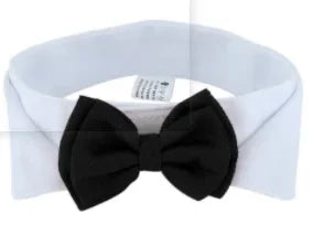 Nœud papillon réglable pour animaux de compagnie, accessoire de toilettage pour petits chiens et chats