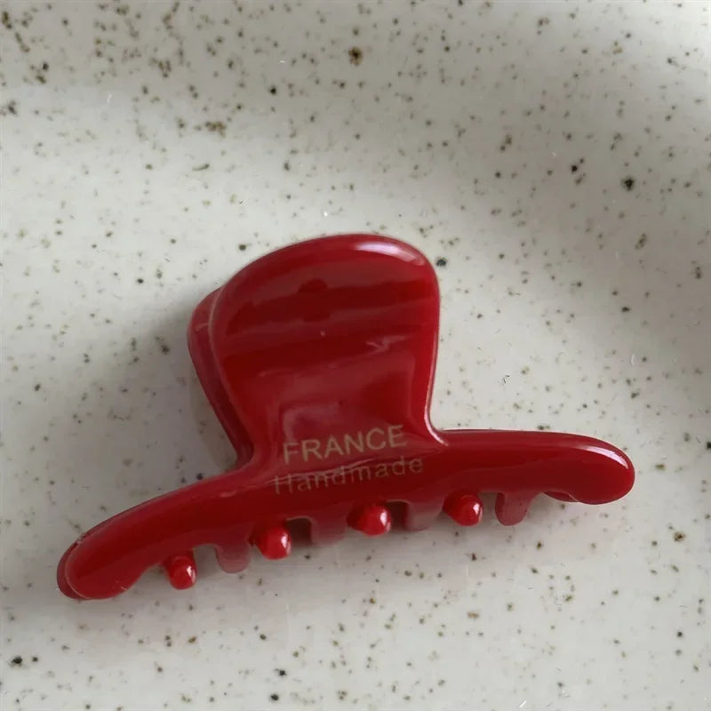 Barrettes à cheveux en acétate style français pour femmes, version exquise, étiquette dorée, petites pinces latérales tendance, accessoires pour cheveux pour filles