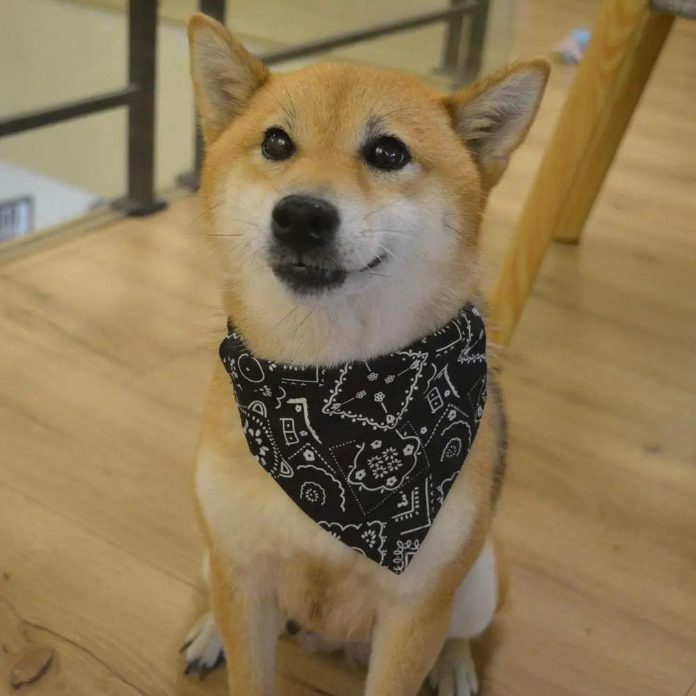 Bandanas pour chien, grande écharpe pour animal de compagnie, en coton à carreaux, lavable, nœuds papillon, collier, écharpe pour chien et chat, grands accessoires pour chien, foulard