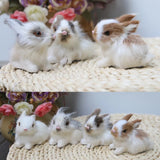 Lovely Animal Easter Bunny Model Figures Simulation Furry Squatting Rabbit Christmas Birthday Home Wedding Decoration Miniatures