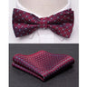 Men Bowtie Cravat Set Fashion Butterfly Party Wedding Ties Girls Business Jacquard Bow Tie Men Bowknot Wholesale Accessories