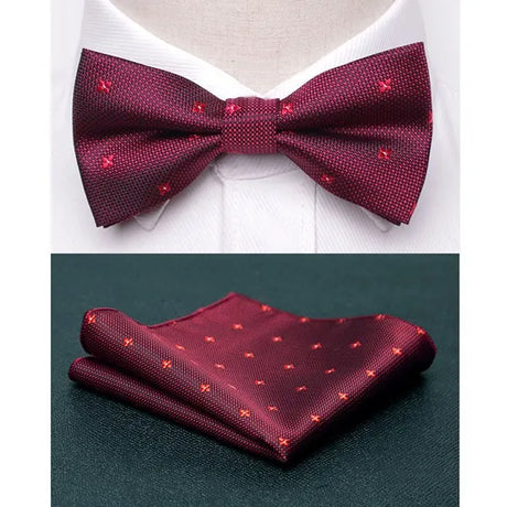 Men Bowtie Cravat Set Fashion Butterfly Party Wedding Ties Girls Business Jacquard Bow Tie Men Bowknot Wholesale Accessories