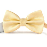 Mens Adult Bowtie Classic Fashion Wedding Party Formal Satin gift Plaids Multicolor Adjust Neck Bow tie Gravata New Clip-On