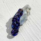 Creative Funny Acetate Tortoise Sturgeon Fish Shark Hairpin Oversize Marine Animal Barrettes Thick Hair Clip Claw Accessories