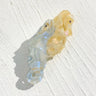 Creative Funny Acetate Tortoise Sturgeon Fish Shark Hairpin Oversize Marine Animal Barrettes Thick Hair Clip Claw Accessories