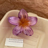 Hawaiian Gradient Hair Clips Flower Hair Claws Big Size Fashion Head wear Hairpin for Women Girls Crab Barrette Hair Accessories