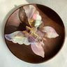 1pc Super Fairy New Style Colorful Butterfly Hair Clip Mermaid Ji Grab Clip Hair Accessories Disc Hair Grab Acetate Clip