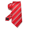 EASTEPIC Men's Gifts of Striped Ties Red Neckties for Gentlemen in Fine Apparel Fashionable Accessories for Social Occasions