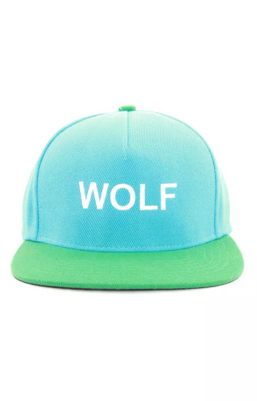 2023 Arrival Tyler The Creator Wolf Mens Womens Hat Cap Snapback cap casquette baseball hats 2 Colors #A608