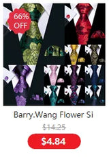 Luxury Silk Mens Ties Set Black Green Leaves Floral Neck Tie Handkerchief Cufflinks Set Wedding Business Party Barry·Wang 5938