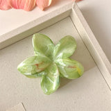 Summer Ice Transparency Pink Green Egg Flower Scratch Clip Shark Clip Sweet Fresh Marbled Plate Hair Clip Hair Scratch