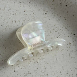 French Style Woman Exquisite Version Gold Label Small Acetate Hair Claws Barrettes Lady Trendy Side Clips Girls Hair Accessories
