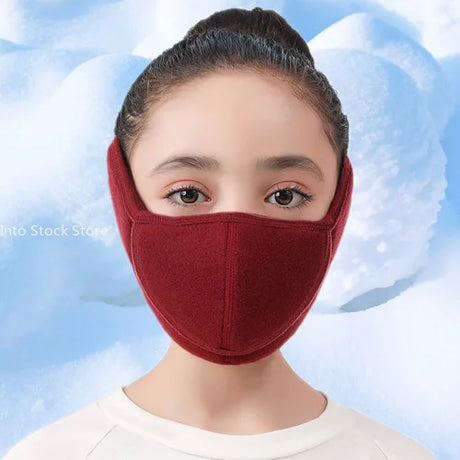 Winter Cold Warm Masks Ear Masks Full Package Thickened Shaking Grain Velvet Dust Mask For Men And Women