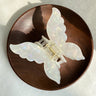 1pc Super Fairy New Style Colorful Butterfly Hair Clip Mermaid Ji Grab Clip Hair Accessories Disc Hair Grab Acetate Clip