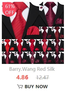 Barry.Wang Exquisite Children Tie Jacquard Silk Necktie HandKerchief for Child Boy Kids Party Birthday School 8 to 14 Years Old