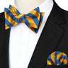 EASTEPIC Striped Bow Tie for Men Hanky Set Plaid Accessory Paisley Neckwear Floral Design Polka Dot Pure Black Evening Party