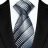 Luxury 8CM Mens Necktie Gray Sliver Color Dot Stripes Solid Tie For Man Groom Jacquard Woven Neck Tie For Business Wedding Party