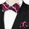EASTEPIC Striped Bow Tie for Men Hanky Set Plaid Accessory Paisley Neckwear Floral Design Polka Dot Pure Black Evening Party