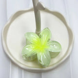2024 Bohemian Beach Vacation Frangipani Egg Flower Hair Clips Lily Flower Hawaii Beach Hair Claw for Women Girl Hair Accessories