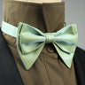 4 Styles Solid Color Black White Wine Bow Ties New Ribbon Gilded Butterfly Double Layered Wedding Party Bowknot Tuxedo Cravat