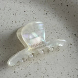 French Style Woman Exquisite Version Gold Label Small Acetate Hair Claws Barrettes Lady Trendy Side Clips Girls Hair Accessories
